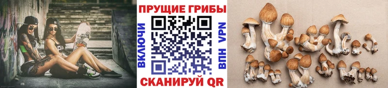 Псилоцибиновые грибы ЛСД Черкесск