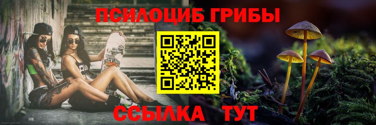 Галлюциногенные грибы ЛСД Черкесск